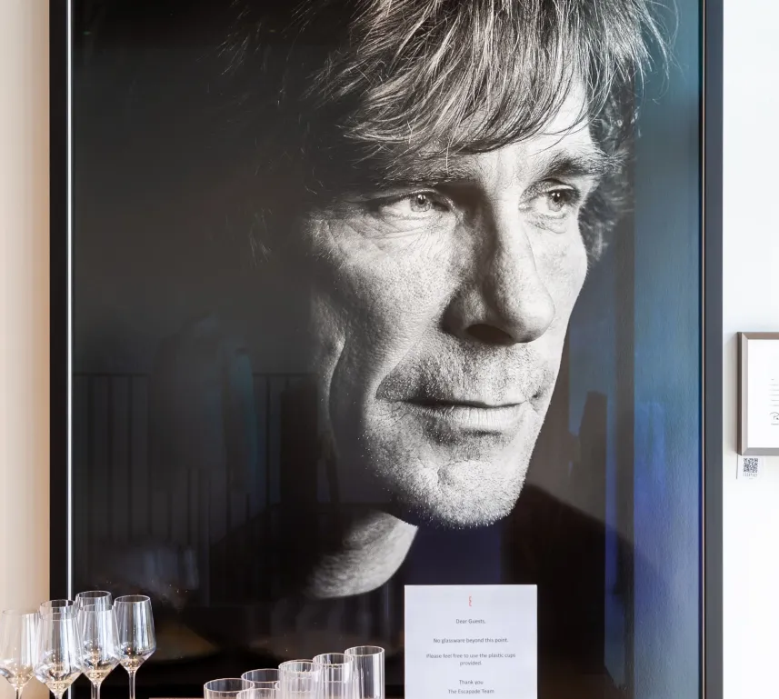 James Hunt Rare Portrait - Patrick Steel
