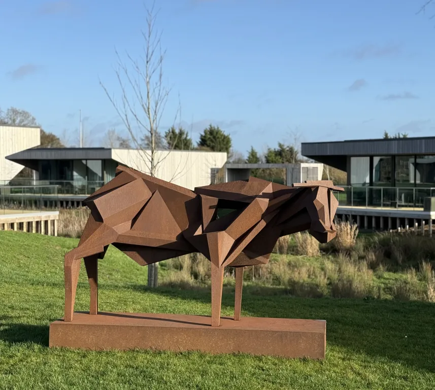 Symphony for the Bull - Peter Walker