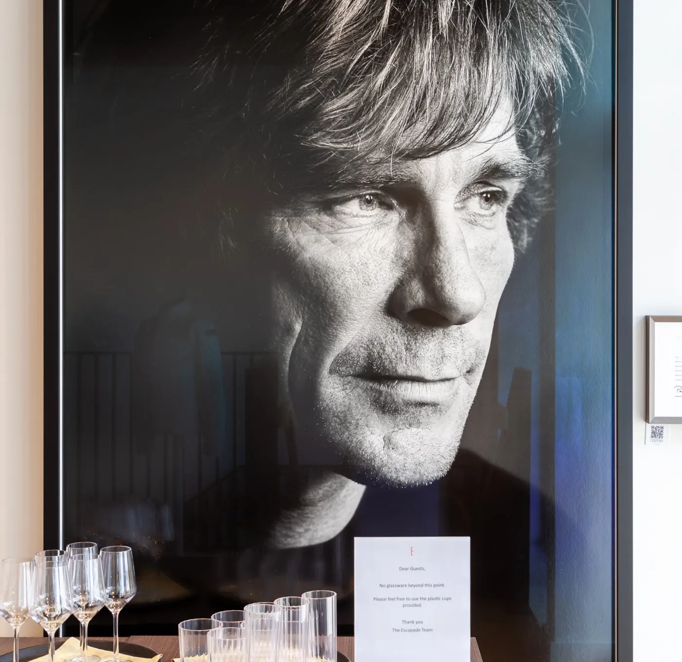 James Hunt Rare Portrait - Patrick Steel